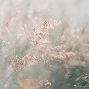 Longing 300px